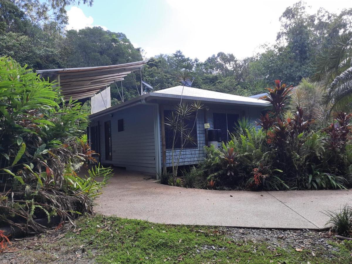 Daintree Rainforest Accommodation Cow Bay Exterior photo